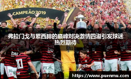 弗拉门戈与累西腓的巅峰对决激情四溢引发球迷热烈期待